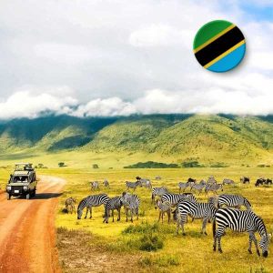 Tanzania eSIM 20 days 500 MB daily